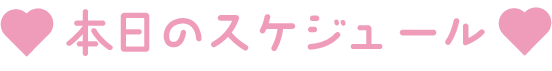 本日のスケジュール